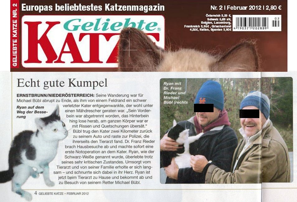 Geliebte Katze, Ryan der Kater