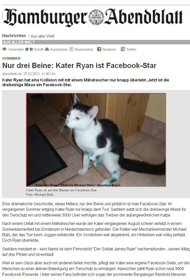 Hamburger Abendblatt, Ryan