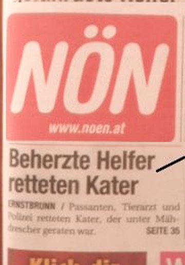 NN, Ryan Der Kater