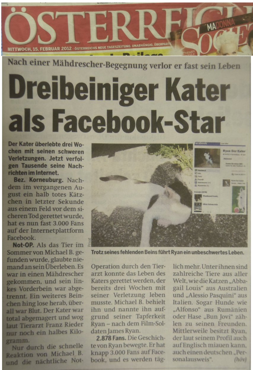 sterreich, Facebookstar